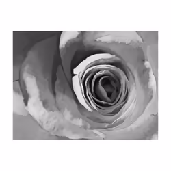 Papier peint intissé Fleurs Paper rose - PD13653-400-309