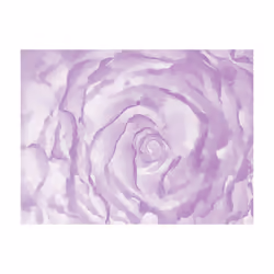 Papier peint intissé Fleurs rose (rose) - PD13654-400-309