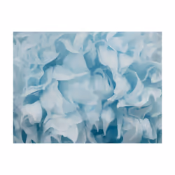 Planete Discount PD13657-250-193 papier-peint Papier peint non tissé Bleu