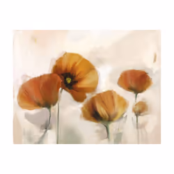 Papier peint intissé Fleurs Coquelicots - vintage - PD13661-400-309