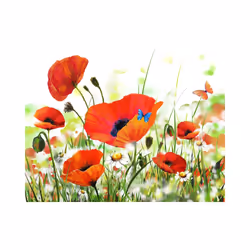 Planete Discount PD13666-250-193 papier-peint Papier peint non tissé Multicolore
