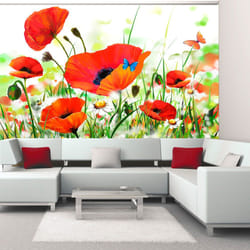 Papier peint intissé Fleurs Country poppies - PD13666-400-309