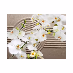 Papier peint intissé Orient Beautiful Zen Garden - PD14272-400-309