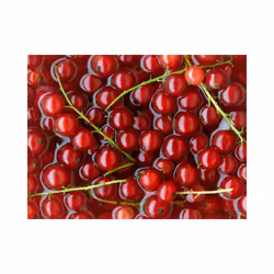 Planete Discount PD14229-300-231 papier-peint Papier peint non tissé Vert, Rouge