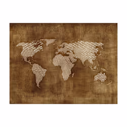 Papier peint intissé Carte du monde Geographical discoveries - PD13401-400-309