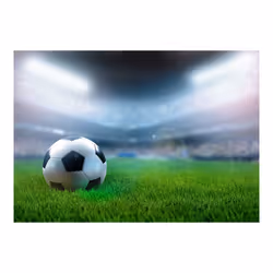 Papier peint intissé Hobby World championship - PD14190-400-280