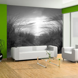 Papier peint intissé Paysages plage (noir et blanc) - PD14500-400-280