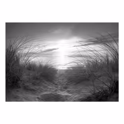 Papier peint intissé Paysages plage (noir et blanc) - PD14500-400-280