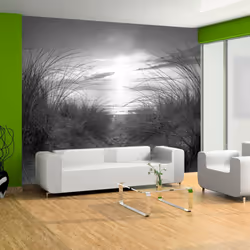 Planete Discount PD14500-300-210, Papier peint non tissé, Noir, Blanc, Noir Et Blanc, 120 g/m², plage (noir et blanc), 3000 m ...