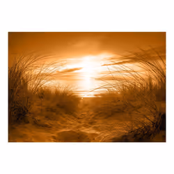Papier peint intissé Paysages plage (sépia) - PD14501-400-280