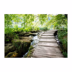 Papier peint intissé Paysages Forest path - PD14504-400-280