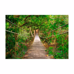 Papier peint intissé Paysages Bridge amid greenery - PD14505-400-280