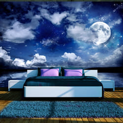 Papier peint intissé Paysages Nuit magique - PD14516-400-280