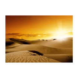 Papier peint intissé Paysages March of camels - PD14517-400-280