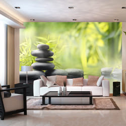 Papier peint intissé Orient Serenity of nature - PD14279-400-280