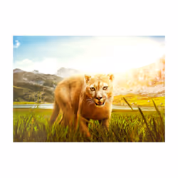 Papier peint intissé Animaux Watch out! - PD13323-400-280