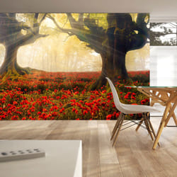 Papier peint intissé Fleurs Morning among poppies - PD13670-400-280