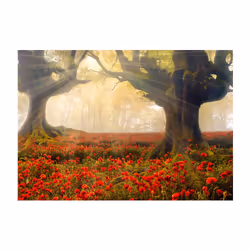 Papier peint intissé Fleurs Morning among poppies - PD13670-400-280