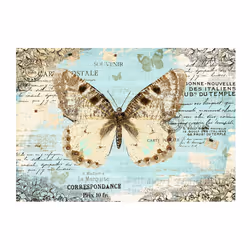 Planete Discount PD13324-350-245 papier-peint Papier peint non tissé Beige, Bleu