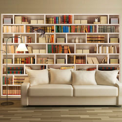 Papier peint intissé Vintage et Retro Bibliothèque domestique - PD15054-400-280
