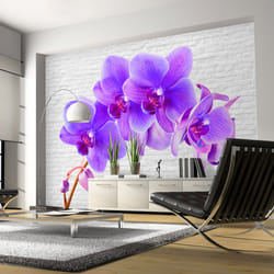 Papier peint intissé Fleurs Violet excitation - PD13672-400-280
