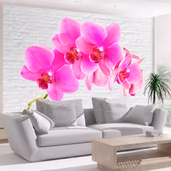 Planete Discount PD13673-400-280, Papier peint non tissé, Perle, Rose, Nacré, Rose, 120 g/m², Pink excitation, 4000 mm