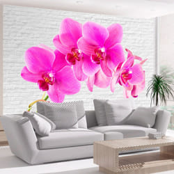 Papier peint intissé Fleurs Pink excitation - PD13673-400-280