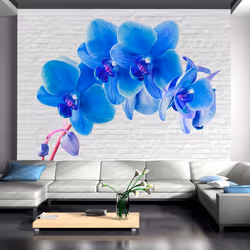 Planete Discount PD13674-100-70