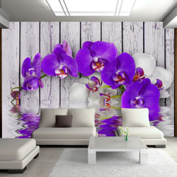 Papier peint intissé Fleurs Dormant instincts - PD13683-400-280