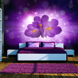 Planete Discount PD13685-150-105 papier-peint Papier peint non tissé Noir, Violet, Jaune