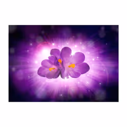 Planete Discount PD13685-150-105 papier-peint Papier peint non tissé Noir, Violet, Jaune