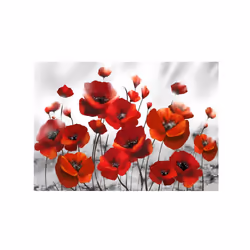 Planete Discount PD13689-400-280 papier-peint Papier peint non tissé Gris, Rouge, Blanc