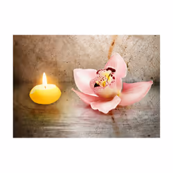 Papier peint intissé Fleurs Romantic evening - PD13690-400-280