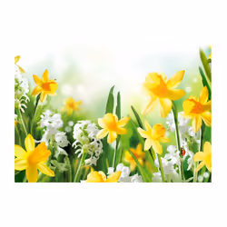 Papier peint intissé Fleurs Spring walk - PD13691-400-280