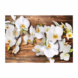 Papier peint intissé Fleurs Forest Orchid - PD13699-400-280