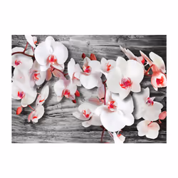 Planete Discount PD13700-350-245 papier-peint Papier peint non tissé Gris, Rose, Blanc