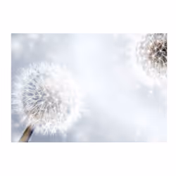 Papier peint intissé Fleurs Unpredictable moments - PD13704-400-280