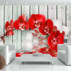Papier peint intissé Fleurs Ruby orchid - PD13705-400-280