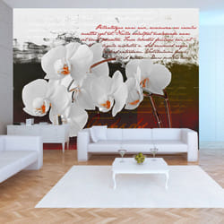 Papier peint intissé Fleurs Diary and orchid - PD13706-400-280