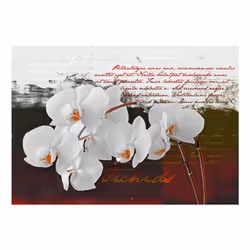 Papier peint intissé Fleurs Diary and orchid - PD13706-400-280