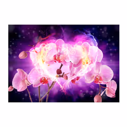 Planete Discount PD13712-300-210 papier-peint Papier peint non tissé Noir, Rose, Violet