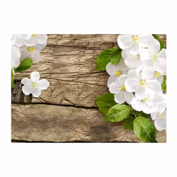 Planete Discount PD13713-150-105 papier-peint Papier peint non tissé Vert, Blanc