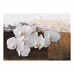Papier peint intissé Fleurs Sentimental thoughts - PD13715-400-280