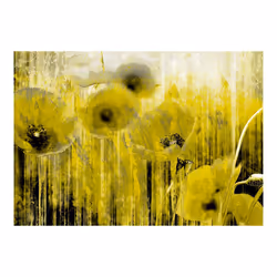 Papier peint intissé Fleurs Yellow madness - PD13717-400-280