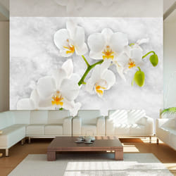 Papier peint intissé Fleurs Lyrical orchid - White - PD13720-400-280