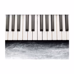 Planete Discount PD14200-350-245 papier-peint Papier peint non tissé Noir, Gris, Blanc