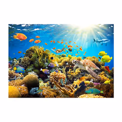 Papier peint intissé Paysages Underwater Land - PD14531-400-280