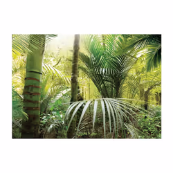 Planete Discount PD14532-300-210 papier-peint Papier peint non tissé Vert, Blanc, Jaune