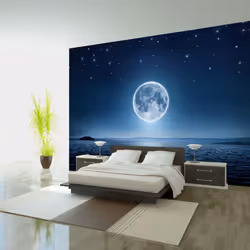 Planete Discount PD14537-400-280, Papier peint non tissé, Bleu, Blanc, Blanc, Bleu Marine, 120 g/m², Moonlit night, 4000 mm