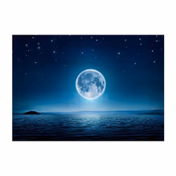 Papier peint intissé Paysages Moonlit night - PD14537-400-280
